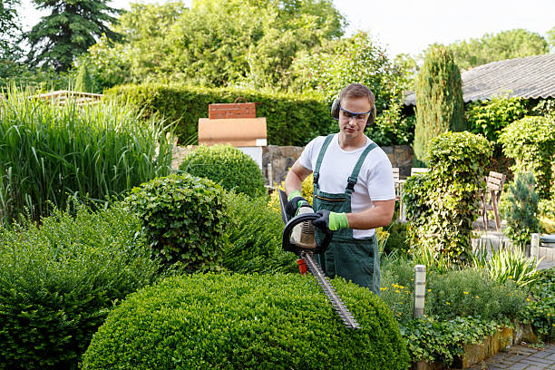 Landscape Design and Installation in Waldron, AR